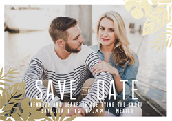 designer image 10274