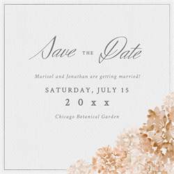 designer image 11387