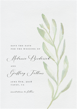 designer image 11801