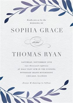 designer image 11984