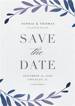 designer image 12004