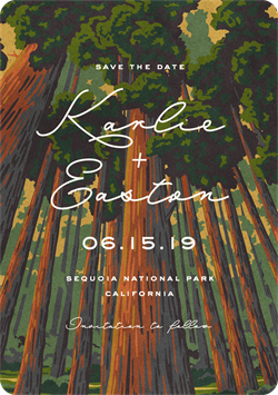 designer image 12041