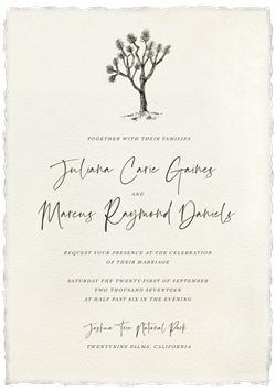 designer image 12078