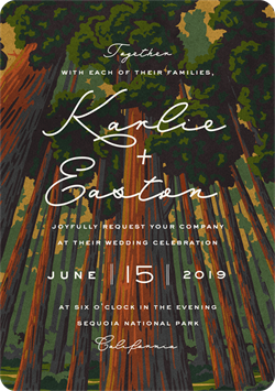 designer image 12658