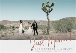 designer image 12806