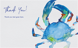 designer image 13088