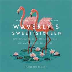 designer image 13264