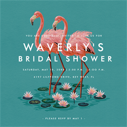 designer image 13264