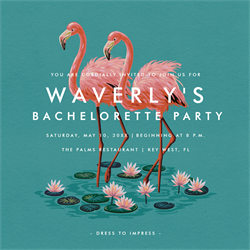 designer image 13264