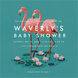 designer image 13264