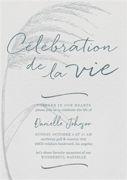 designer image 14395