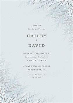 designer image 14719