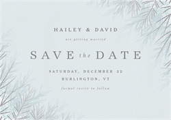 designer image 14736