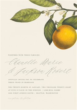 designer image 14891