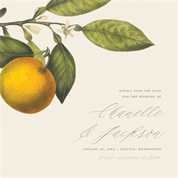 designer image 14892