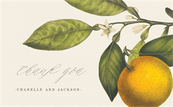 designer image 14893