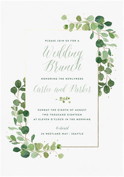 designer image 14913