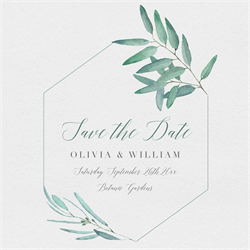 designer image 15286