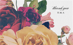 designer image 16502