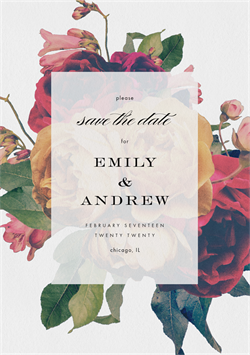 designer image 16507