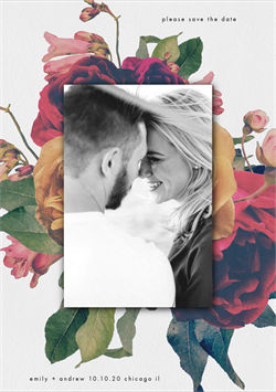 designer image 16548