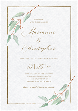 designer image 18009