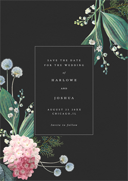 designer image 18511