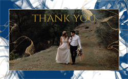 designer image 18534