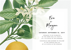 designer image 18562