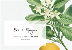 designer image 18568