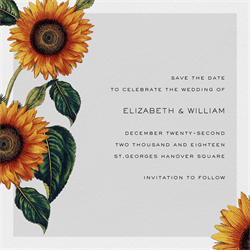 designer image 18607