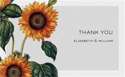 designer image 18608