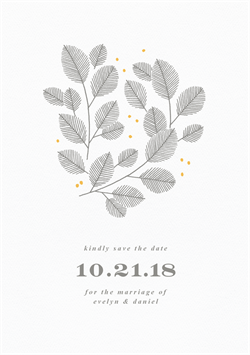 designer image 18693