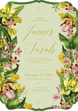 designer image 18744