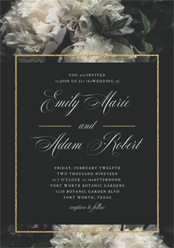 designer image 19101