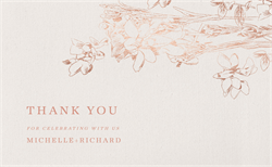 designer image 20153