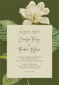 designer image 20274