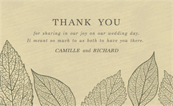 designer image 20325