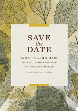 designer image 20327