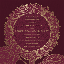 designer image 20367