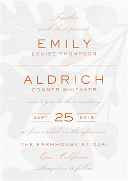 designer image 20523