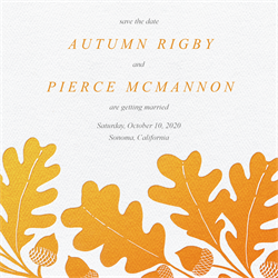 designer image 20625