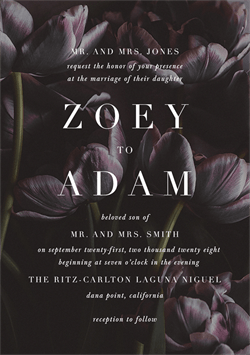 designer image 20932