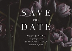 designer image 20934