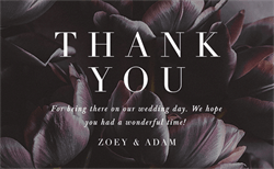 designer image 20936