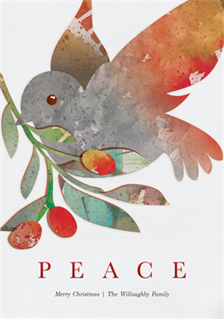 designer image 21054