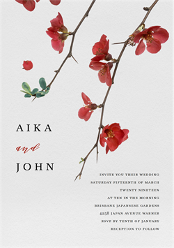 designer image 22675