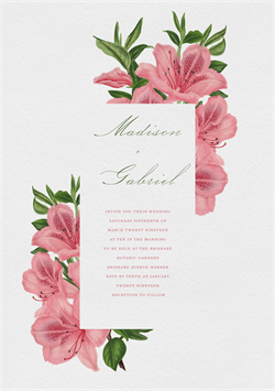 designer image 23252