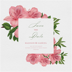 designer image 23277