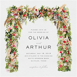 designer image 23616